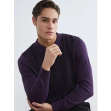 LC Waikiki Lcwaıkıkı Classic Mürdüm Polo Yaka Erkek Triko Kazak