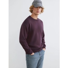 LC Waikiki Xsıde Mürdüm Bisiklet Yaka Erkek Triko Kazak