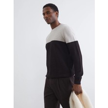 LC Waikiki Lcw Vision Kahverengi Bisiklet Yaka Renk Bloklu Erkek Triko Kazak