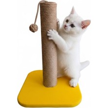 Feyza Design Rahat ve Eğlenceli Kedi Tırmalama Tahtası, Sağlıklı Tırnak Bakımını Destekler