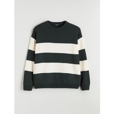 LC Waikiki Xsıde Yeşil Bisiklet Yaka Çizgili Erkek Triko Kazak