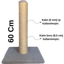 Feyza Design 60 cm Uzun Kalın Borulu Ipli Kedi Tırmalama Tahtası