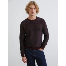 LC Waikiki Xsıde Mürdüm Bisiklet Yaka Çizgili Erkek Triko Kazak