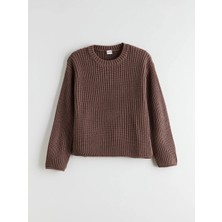 LC Waikiki Lcw Kids Kahverengi Bisiklet Yaka Kız Çocuk Triko Kazak