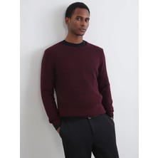 LC Waikiki Lcw Vision Mürdüm Bisiklet Yaka Erkek Triko Kazak