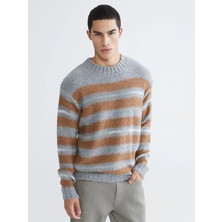 LC Waikiki Xsıde Gri Bisiklet Yaka Çizgili Erkek Triko Kazak