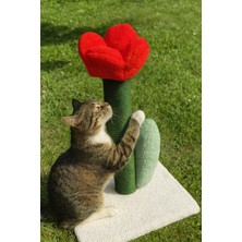 Feyza Design Renkli Kedi Tırmalama Tahtası, Eğlenceli ve Dayanıklı Tasarım