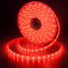 5050 Smd 24V 60 Led/m Iç Mekan 3 Çipli Şerit LED (5 Metre)