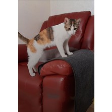 Feyza Design Kedi Tırmalama Halısı, Koruyucu ve Uyuma Alanı, 100X50, Antrasit, 2'li Set