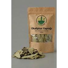 ixirciyusuf Okaliptus Yaprağı (Okaliptüs – Eucalyptus Leaf – Eucalyptus Globulus) Kurutulmuş Bitki 100 G – Doğal