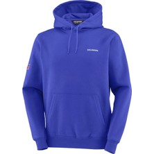 Salomon EQUIPE HOODIE Erkek Sweatshirt Surf The Web LC2849200