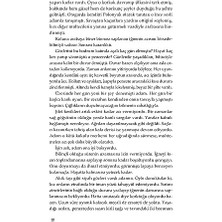 Storemax Tehlikeli Şarkılar: Başkomiser Perihan Uygur 3