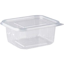 Storemax 250 Gr. Plastik Sızdırmaz Kap 100 Adet