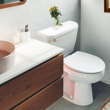 Storemax 6094BP Strongarm Tank Kolu, Evrensel Ön Açılı Yan Sol ve Sağ Montaj Tuvaletlere Uyar, Fırçalanmış Altın