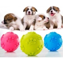 Köpek Isırma Topu Pati Desenli 1291