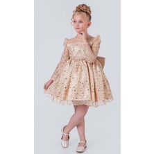 Mnk Baby & Kids Ruche Lipa Kız Çocuk Abiye M00783