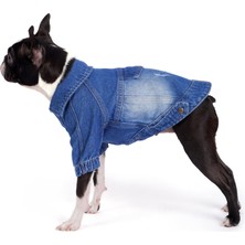 FOURAMOUR Orta Yıkama Denim Köpek Ceketi “Rodeo”
