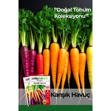 Patika Botanik 3000+ Adet Karışık Havuç Tohumu