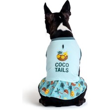 FOURAMOUR Pamuklu Su Yeşili Köpek Elbisesi “Coco Tails”