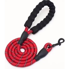 Gold Be Reflektörlü Köpek Gezdirme Kayışı – 120 cm