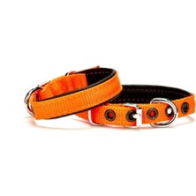 Bigelal Softlu Köpek Boyun Tasması 1,5 cm x 35 cm Tcu