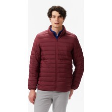 Nautica Regular Fit Mont Erkek Bordo Ceket.6by