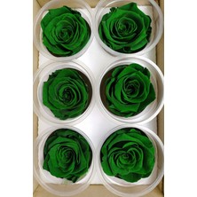 Rose Amor Yeşil Şoklanmış Solmaz Gül (6 Adet)