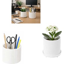 Paras Ticaret Özel Üretim 2'li Set Ayrılabilir 4 Bölmeli Kalemlik & Ayaklı Küçük Saksı Raf Masa Vb. Saksısı