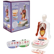 Just Cheap Store Sesli Insan Vücudu Modeli Bilim Seti