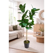 Maki Dekor Yapay Kauçuk Islak Dokulu 150 cm Boyunda Dekoratif Modern Ev ve Ofis Iç Mekan Ağacı