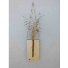 Ay Akdeniz Dekoratif Duvar Süsü