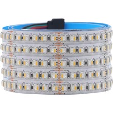 Powerr Led Aydınlatma 24 Volt Rgbw 4 Renk Rgb ve Beyaz Renk 5050 Smd Iç Mekan 60 LED 5 Metre Şerit LED