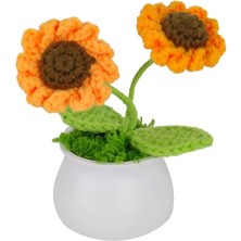 TE Dükkan Fl-3 12Lİ Kroşe Örgü Ayçiçeği -Birliktoys
