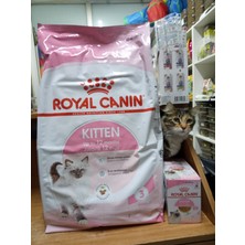 SY Royal Canin Kitten Yavru Kedi Maması 10 Kg+12 Adet Royal Kitten Yaş Mama 85 Gram