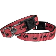 Elma Shop Köpek Tasması Patili Dokuma 2 cm - Min: 30 cm - Max: 50 cm Kırmızı