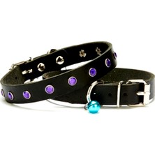 Elma Shop Taşlı Kedi ve Yavru Köpek Tasması 1,2X26 cm Siyah Large