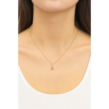 Stilly Kararmaz Çelik Deniz Çapası Motifli Kolye