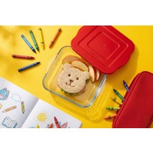 Borart Kırmızı Plastik Kapaklı Petek Desenli Kare Büyük Cam Tepsi