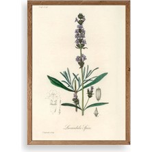 Sinems World Yaprak Ahşap Çerçeveli Tablo