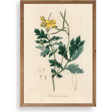 Sinems World Çiçek Ahşap Çerçeveli Tablo