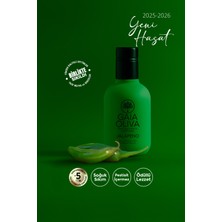 Jalapeno Çeşnili 250 ml Natürel Sızma Zeytinyağı (Yeni Hasat)