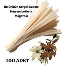 Butik 100 Adet Krem Şönil, Çiçek Yapımına Uygun Tüylü Tel, 30 cm 6mm