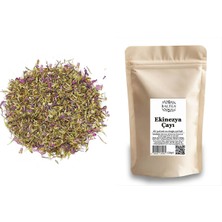 Baltea Ekinezya Çayı 120G