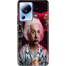 Grabono Xiaomi Mi 13 Lite Kılıf Desenli Mi 13 Lite Design Silikon Albert