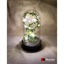 Redi Ridi LED Işıklı Dekoratif Fanus Günışığı