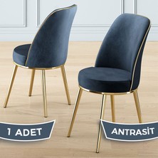 Canisa Pefa Serisi 1 Adet Antrasit Mutfak Sandalyesi Gold Kaplama Metal Ayak  Babyface Kumaş