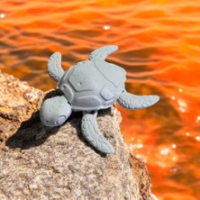 3D Tasarım Boyama Seti Caretta