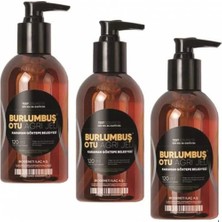 Burlumbuş Otu Jeli 3 Adet