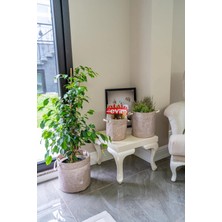 Kulplu Yuvarlak Düzenleyici Çok Amaçlı Kolay Taşınabilen Organizer Keçe Sepet (Maxi) 03655