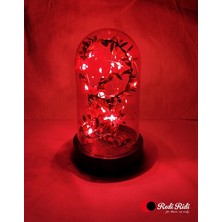 Redi Ridi LED Işıklı Dekoratif Fanus Kırmızı